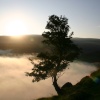 Rowan tree Cat Grag at sunrise, Ullswater, Lake District