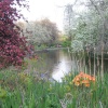 London - St. James park in springtime.
