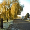 canalside. Beeston, Nottinghamshire