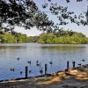 Hartsholme Park Lake, Lincoln