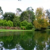 Exbury gardens, Exbury, Hampshire