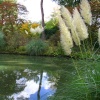 Exbury gardens, Exbury, Hampshire