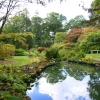 Exbury gardens, Exbury, Hampshire
