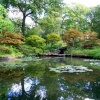 Exbury gardens, Exbury, Hampshire - 