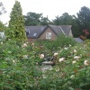 Borde Hill Garden, West Sussex