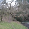 Auckland Castle Park , Bishop Auckland ,Co Durham