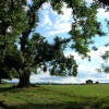 Long Meg & her Daughters (Maughanby Circle)- near Penrith, Cumbria