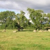 Long Meg & her Daughters (Maughanby Circle)- near Penrith, Cumbria