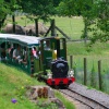 This train takes you around the park, Marwell Zoo, Hampshire