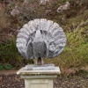 Powis castle and gardens.