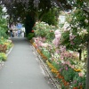 Walk through the park in Bakewell, Derbyshire, July 9, 2006  - 