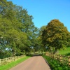 Country road at Abberwick, - Alnwick, Northumberland.