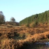 Pathway from White House car park.  Penkridge Road Cannock Chase.