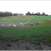 A picture of Toft Hill