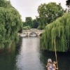 Cambridge, in July 2003