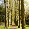 A picture of Wentworth Castle