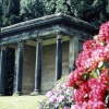 A picture of Wentworth Castle