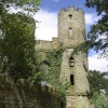 A picture of Wentworth Castle