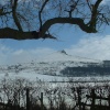 Roseberry Topping covered in snow