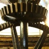 A picture of Wilton
