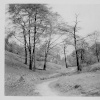 Prestwich; the foot of mere clough; spring 1957