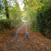 Lane End Broadhembury