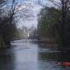 View behind Buckingham Palace, London
