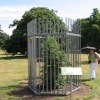 Kew Royal Botanical Gardens. August 2006. Imprisoned tree.