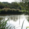 Village pond at East Runton, Norfolk