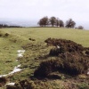 Offa's Dyke on Rushock hill near Kington, Herefordshire.
