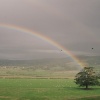 View from Tosson Farms Bed and Breakfast, Great Tosson, Northumberland