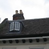 Pigeon and rooftop, Buckingham