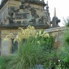 Pampas Grass at Hardwick Hall, Derbyshire