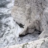 Chalk cliff at the Seaford end of Seven sisters country park