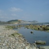 view from black ven, Charmouth