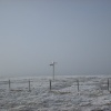The Cheviot is in there somewhere