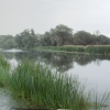 River Nene, Nene Park