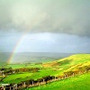 A picture of Dorset