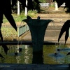 A picture of Holland Park