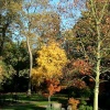 A picture of Holland Park