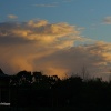 London Wetland Centre, late afternoon clouds.