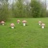 The Toadstools in Milton Keynes