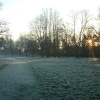 Cassiobury Park, Watford. The early morning sun peeps through the trees.
