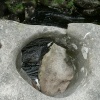 A tolman stone on the river teign, on Dartmoor