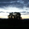 Dawn at Green End, Chadlington, Oxfordshire.