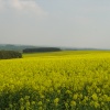 Photo taken on Beacon Hill near Morpeth.