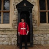 A soldier of the Scots Guards, Tower of London