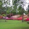 Punch Bowl, Valley Gardens...Great Windsor Park