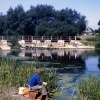 An angler at Throop, on the rural northern fringe of Bournemouth