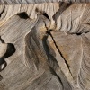 DRIFTWOOD on the shore at tees mouth, Berwick-upon-Tweed